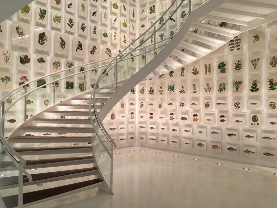 Cultureel Instituut van Itau